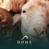 duha kurban