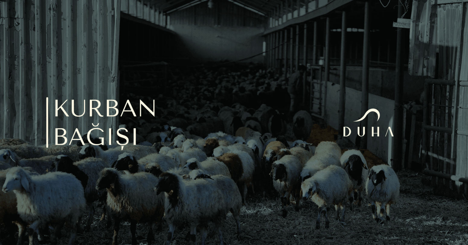 Kurban Bağışı