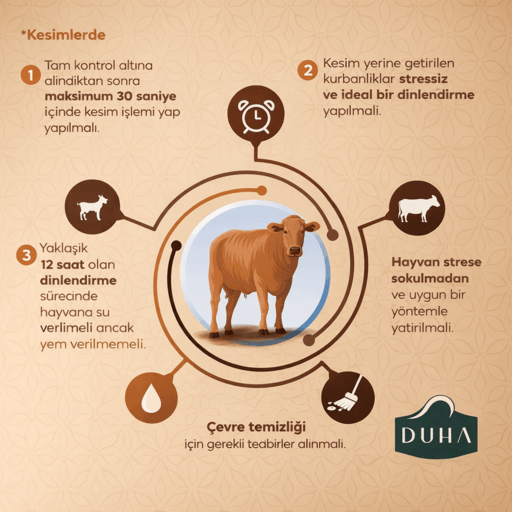 kurban kesimlerinde nelere dikkat edilmeli